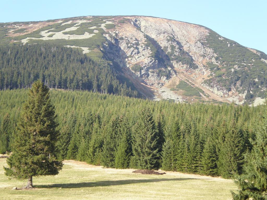 Ubytovani U Vorechovskych Pec pod Snezkou Luaran gambar